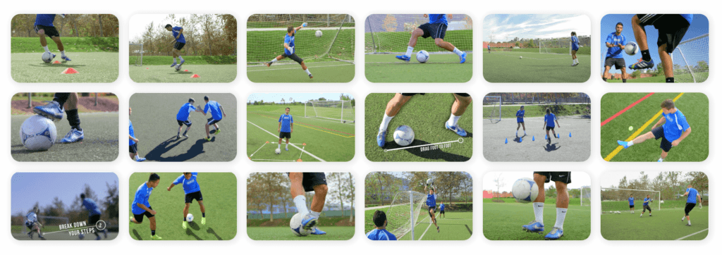 Sports Bridge and Sportsy Partnership tiles